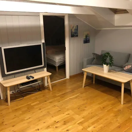 Apartment Birkebeiner *